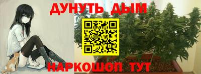 стаф Краснокаменск