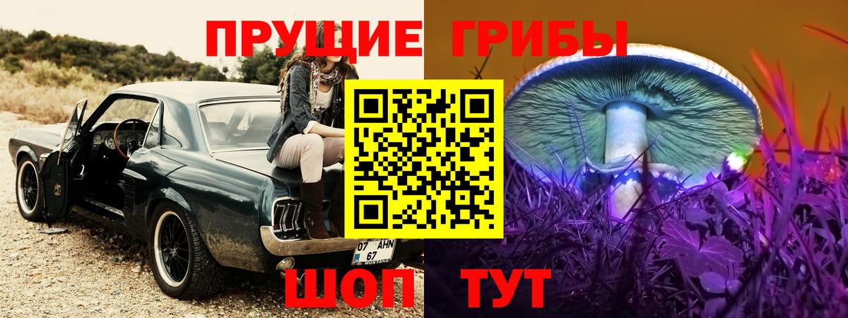 Галлюциногенные грибы Psilocybine cubensis Избербаш